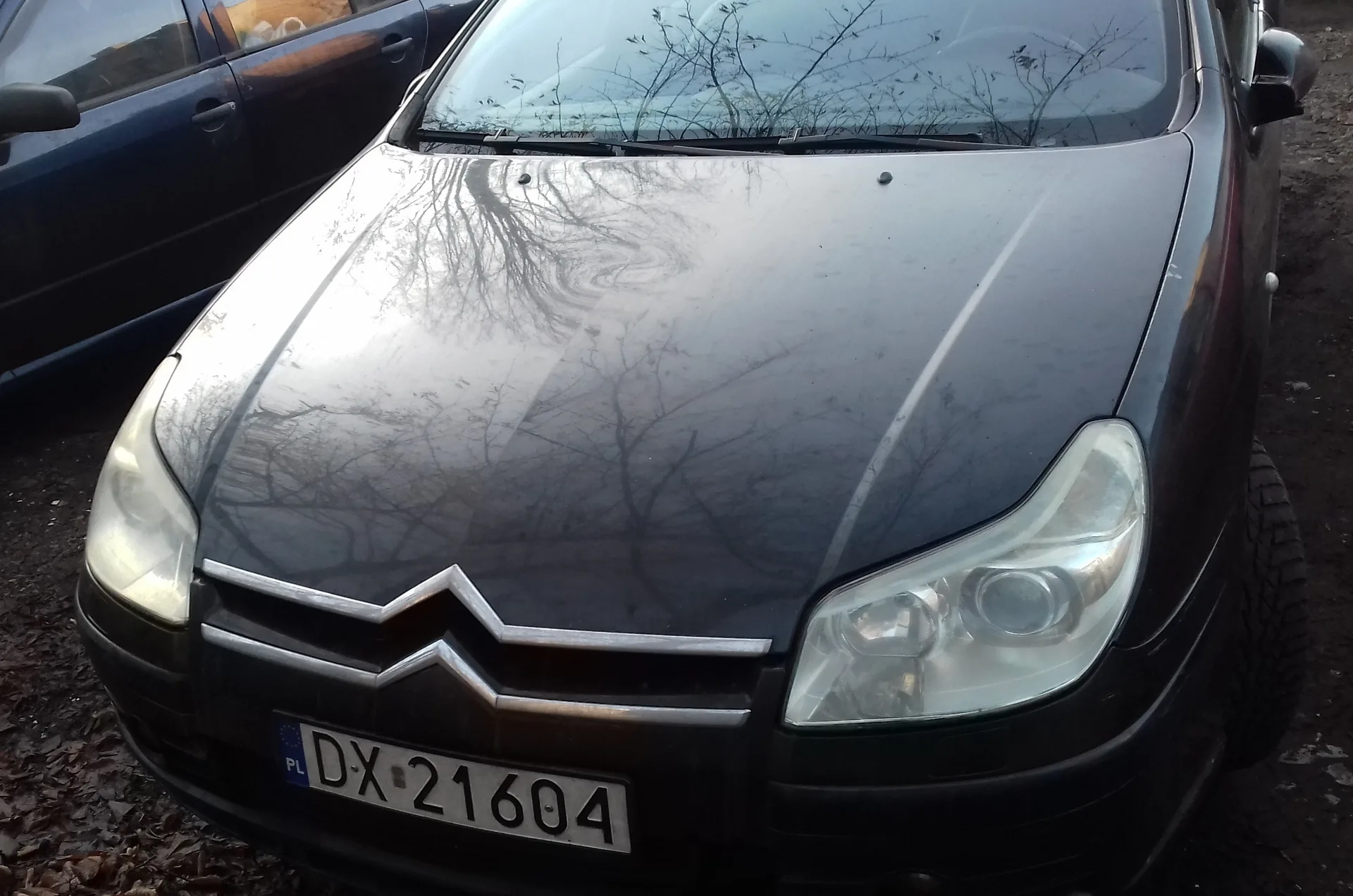 Citroën C5