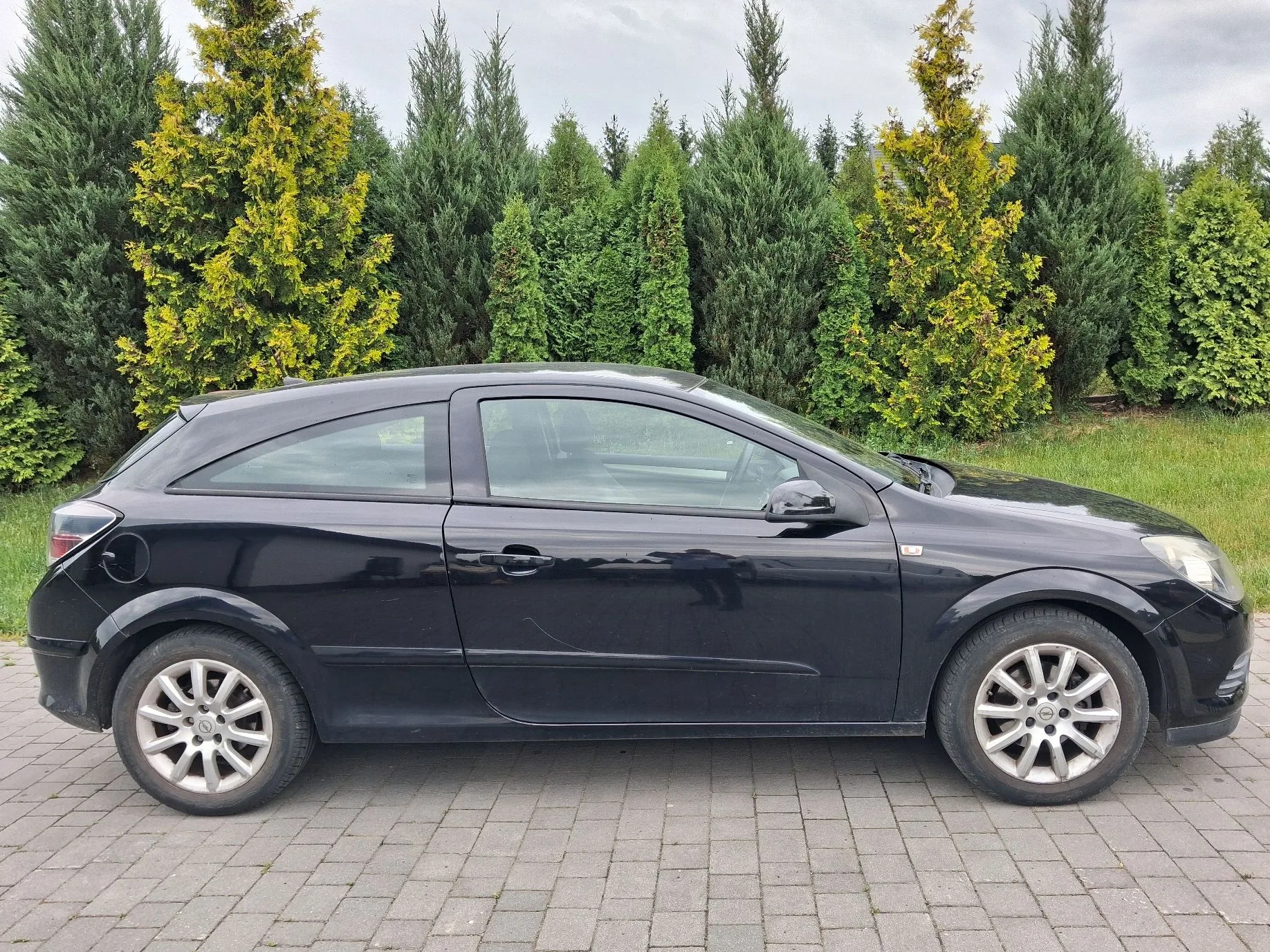 Miniatura 6