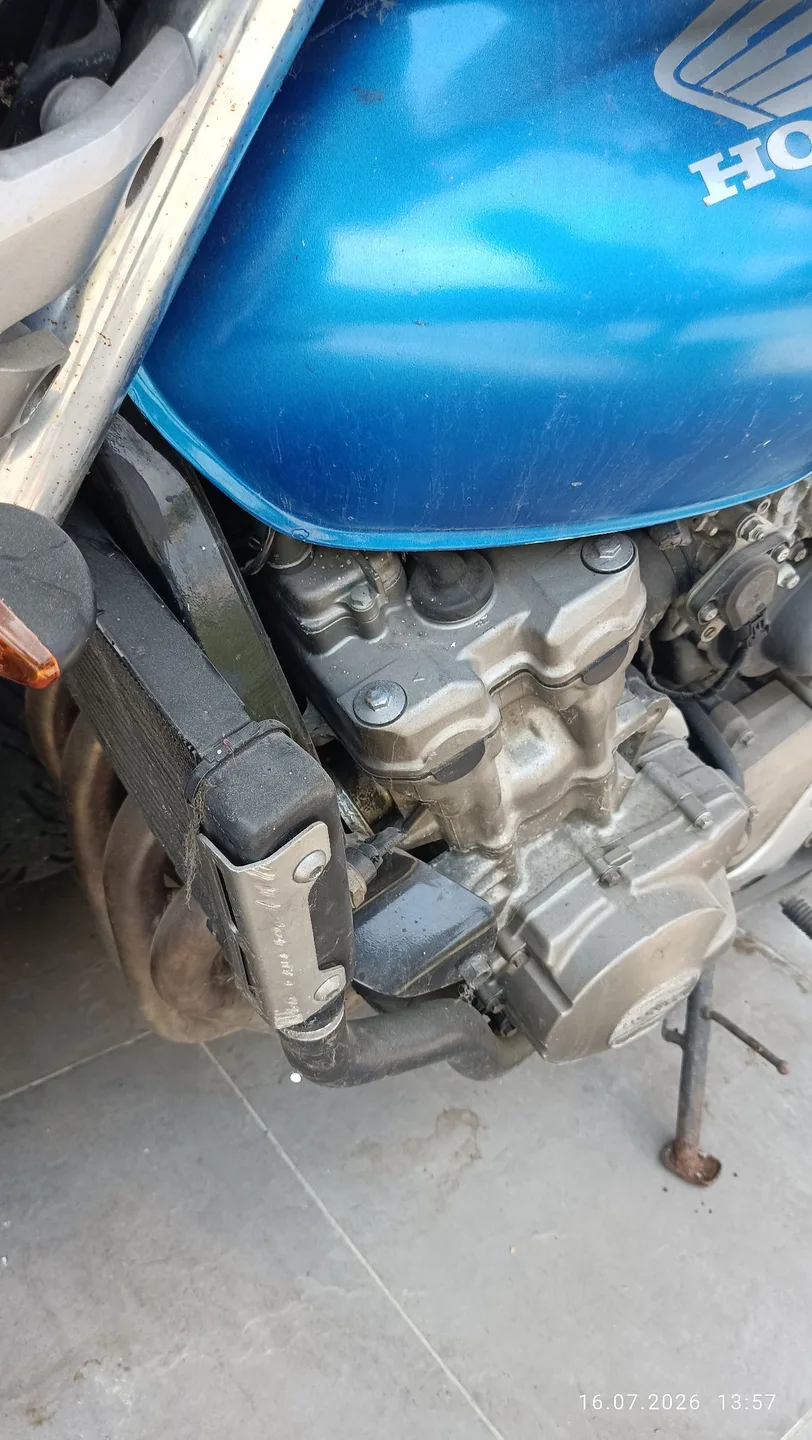 Honda Hornet