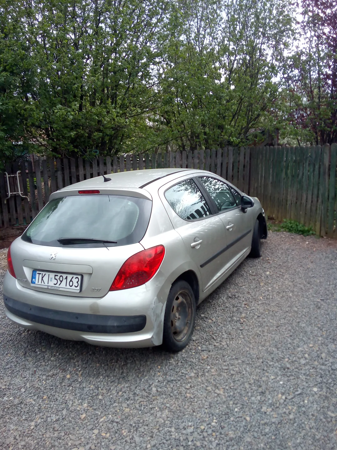 Miniatura 6