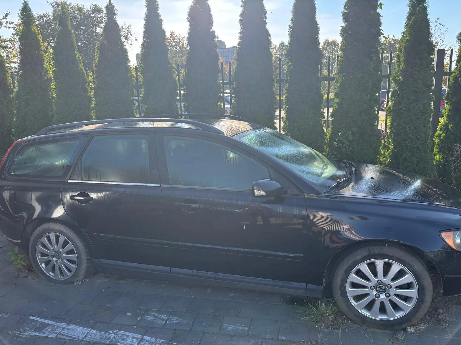 Volvo V50