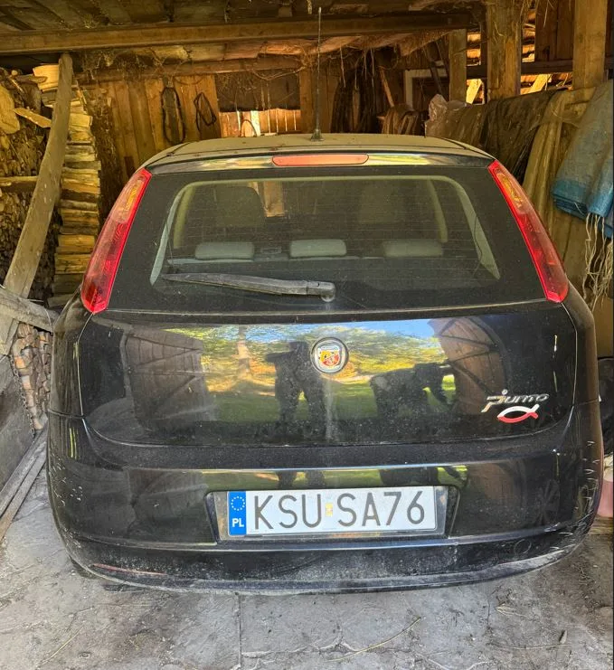 Fiat Punto