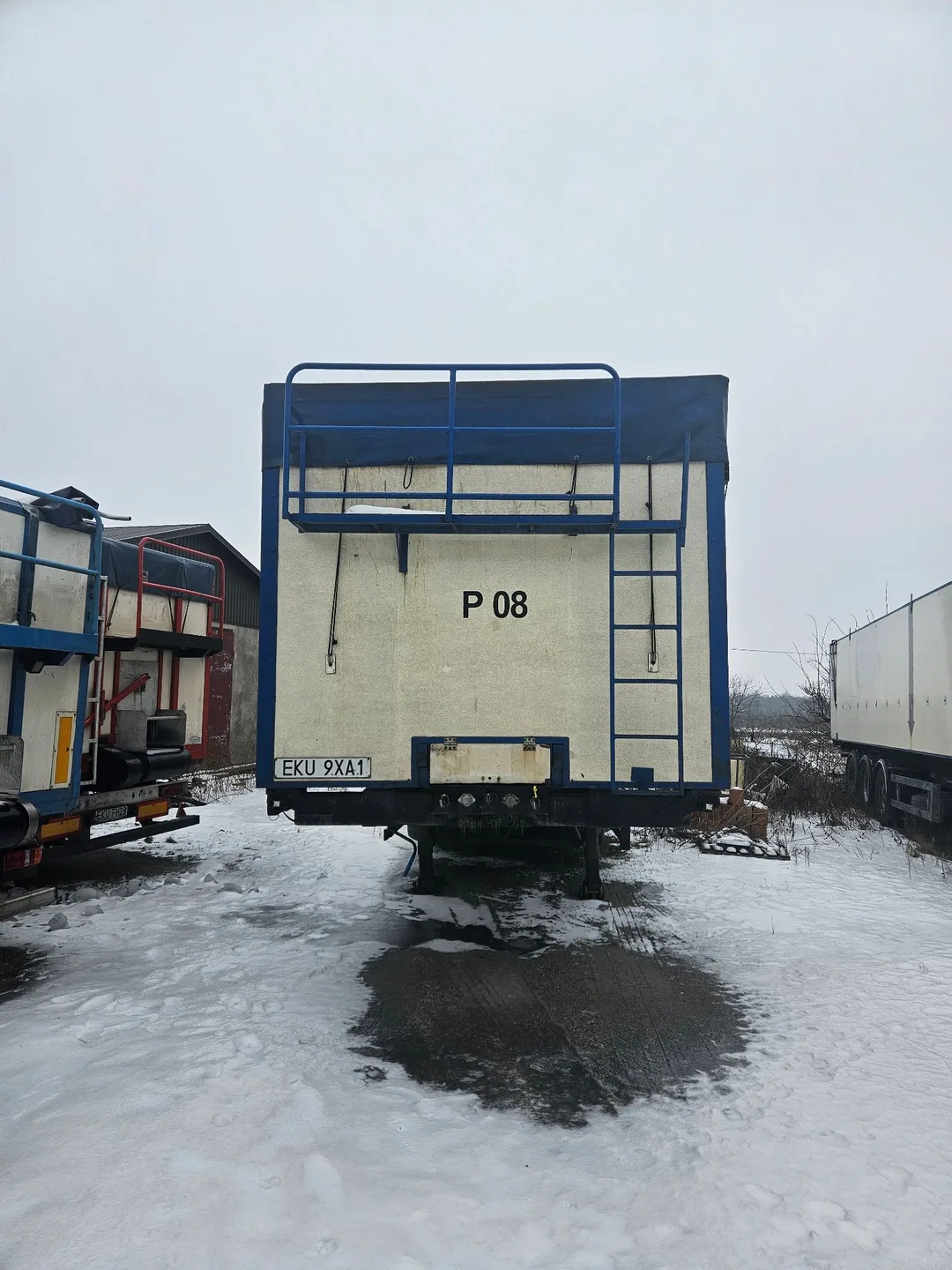 Benalu Benalu Tx39