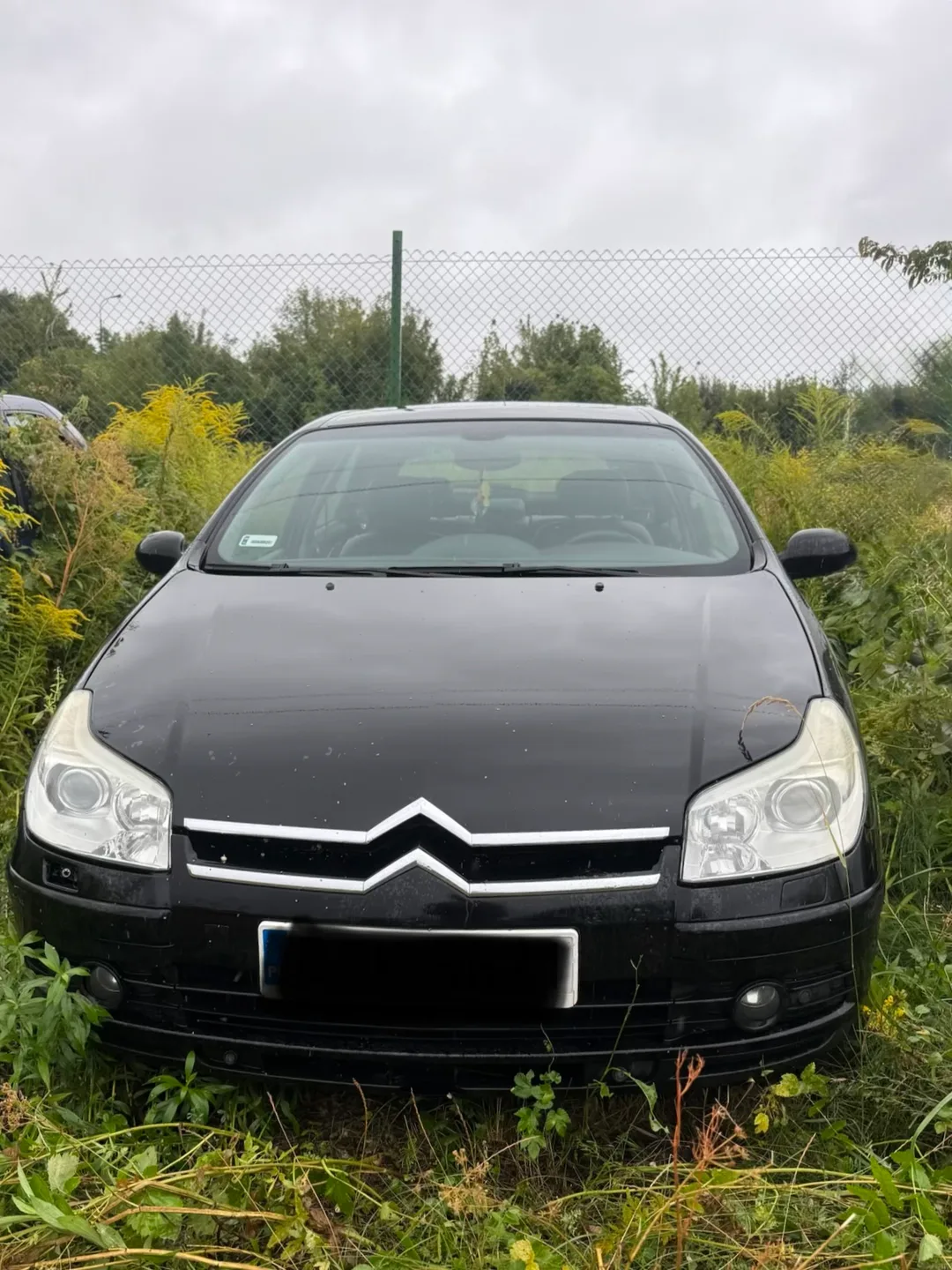 Citroën C5