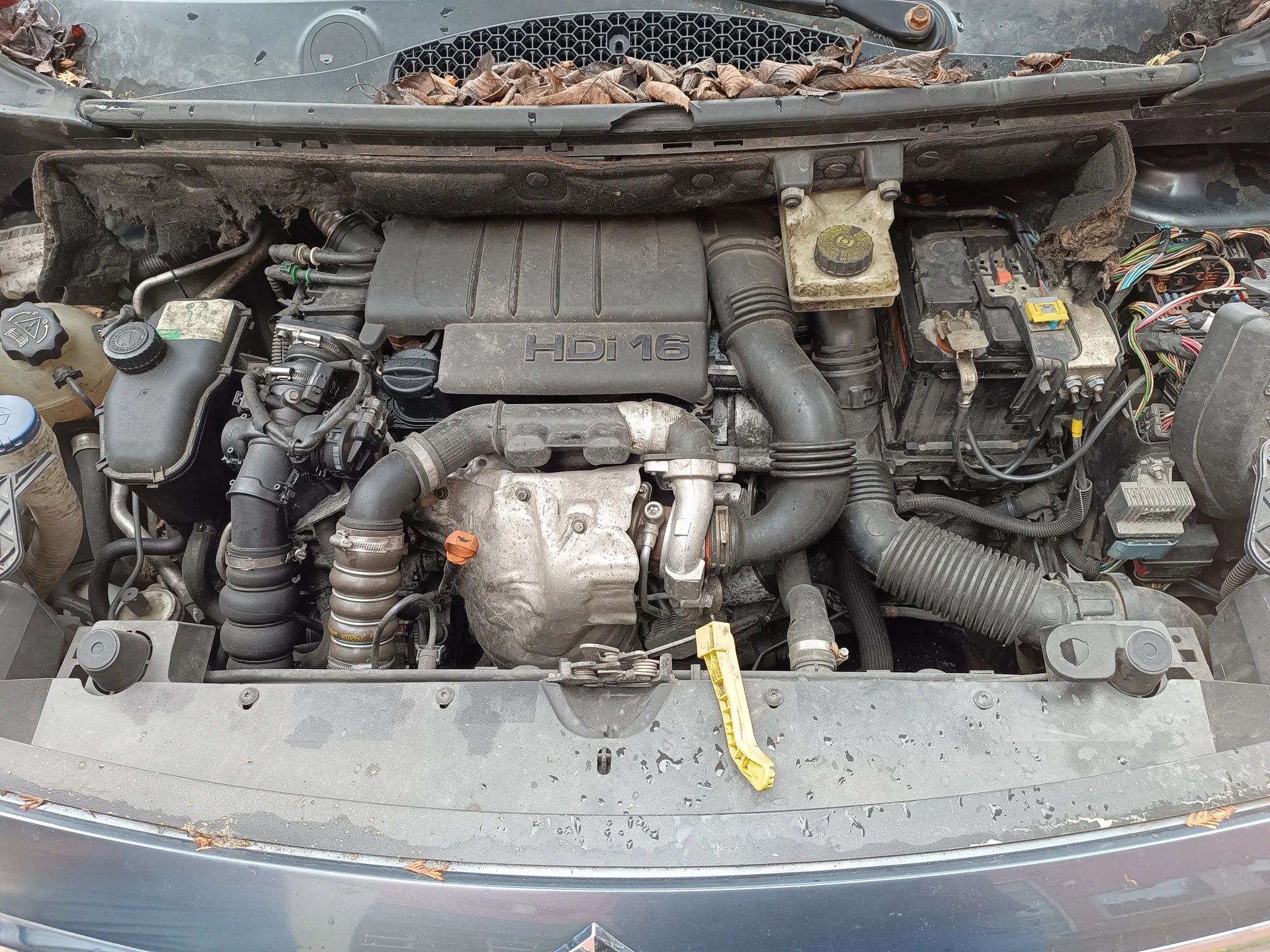 Citroën Berlingo