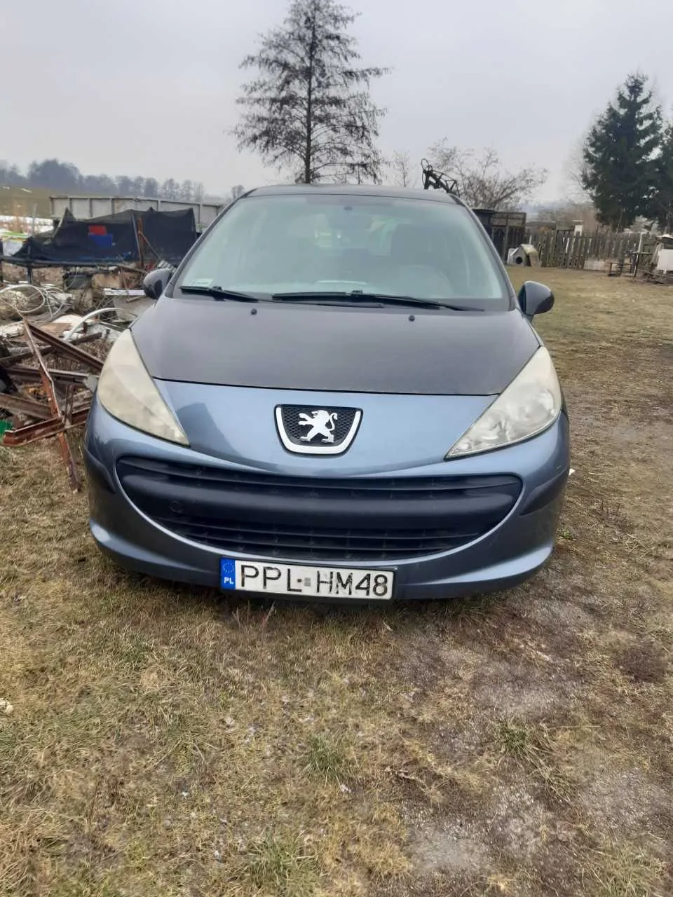 Peugeot 207