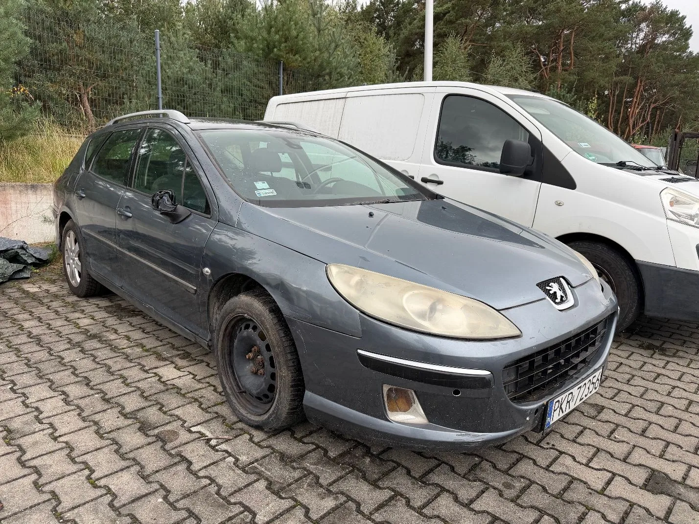 Peugeot 407